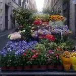 Appartement Three Bedroom With A View In Monti Rome